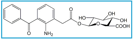 Amfenac Acyl-β-D-Glucuronide